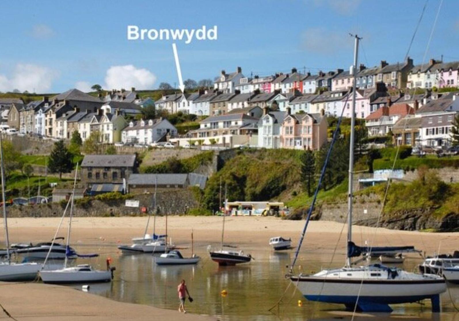 Bronwydd, Large Holiday Home In Seaside Town Of New Quay New Quay  Dış mekan fotoğraf